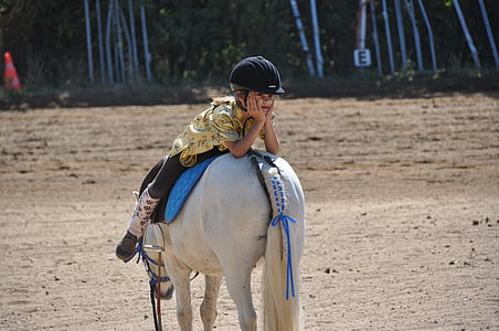 cavalo, animais, programa, equino, natureza, estábulo de equitação, criança