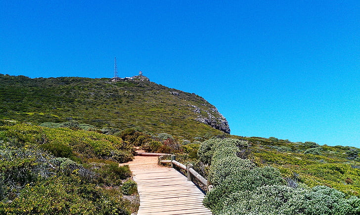 way to the diaz beach, cape point, green, nature, sunny, south africa, sky