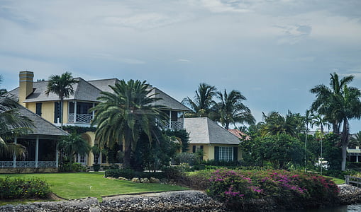 Dom, Architektura, Strona główna, konstrukcja, mieszkalnych, na zewnątrz, palmy