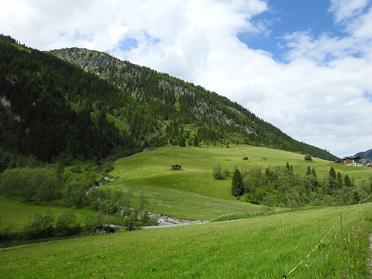 Austria, montañas, Prado, bosque, naturaleza, paisaje, Salzburg