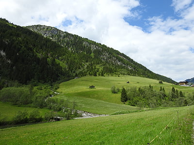 奥地利, 山脉, 草甸, 森林, 自然, 景观, 萨尔茨堡