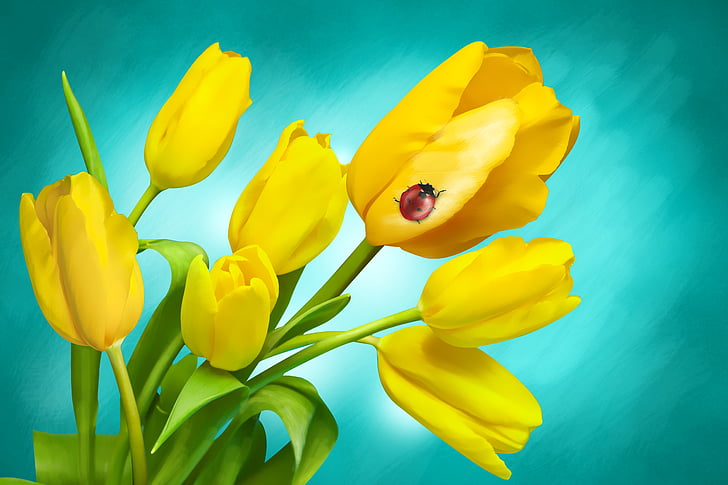 virágok, tavaszi, tulipán, növény, rét, ünnepek, sárga