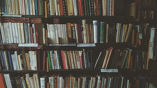 bookcase, books, bookshelves, knowledge, library, literature, novel