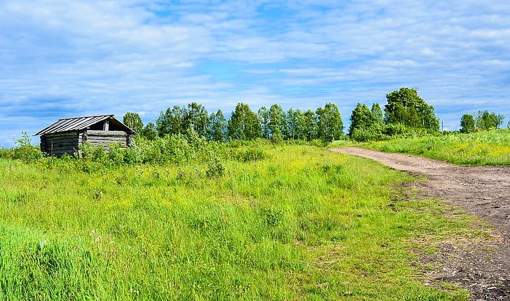 Hut, chemin d’accès, nuages, Cottage, Sky, bleu, arbre