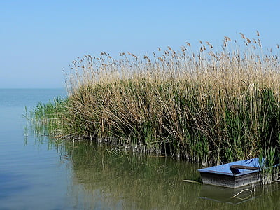 paisaje, agua, Lago, naturaleza, frente al mar, junto al lago, reflexión