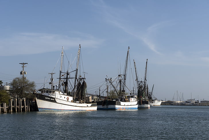 shrimp boats, moored, inlet, water, sea, bay, dock
