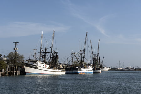 garnélarák-halászó hajók, kikötve, belépő, víz, tenger, Bay, dokkoló