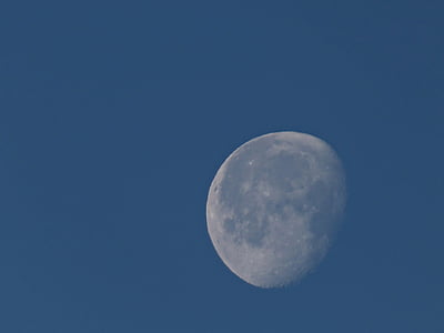 månen, dagtid moon, januari moon, silverfärgade månen, skönhet, morgon moon, blå