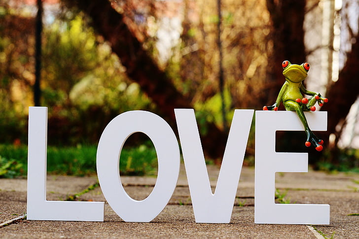 жаба, Любов, ден на Свети Валентин, поздравителна картичка, романтика, обич, чувства
