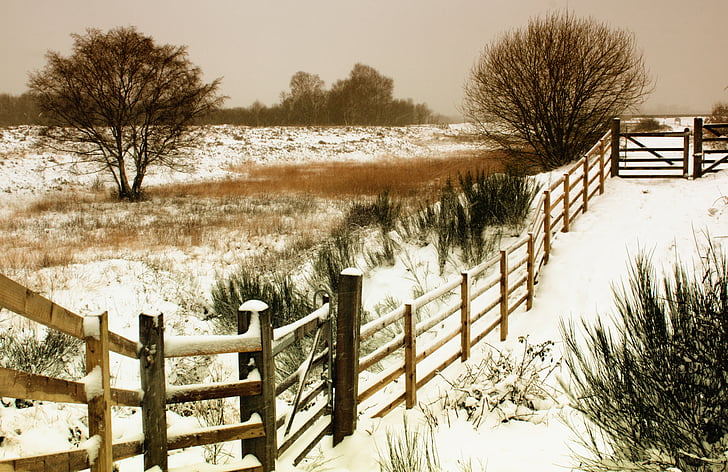 winter, landscape, snow, nature, cold, season, white
