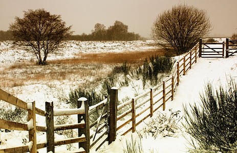 hiver, paysage, neige, nature, froide, saison, blanc