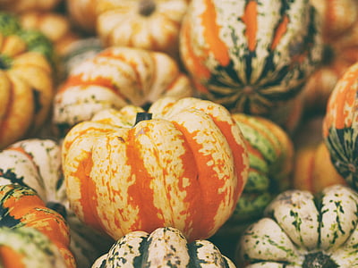 orange, green, pumpkins, close, photography, food, halloween