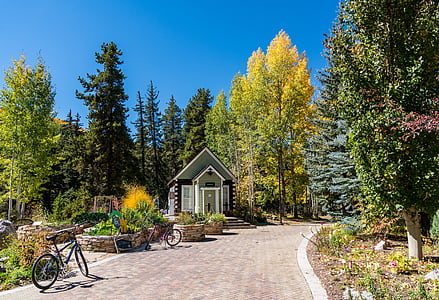 Vail, Colorado, listoví, Betty ford park, struktura, Příroda, Spojené státy americké