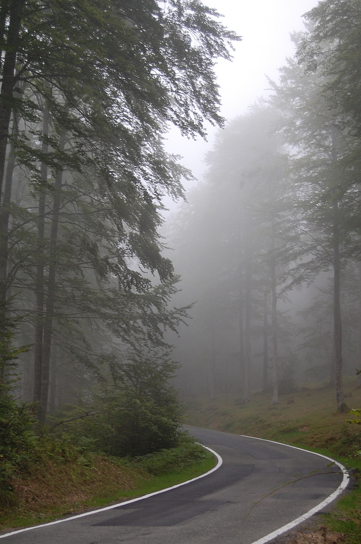 fog, road, path, nature, circular, navarre, aralar