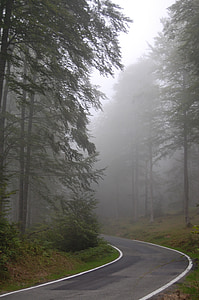 brouillard, route, chemin d’accès, nature, circulaire, Navarre, Aralar