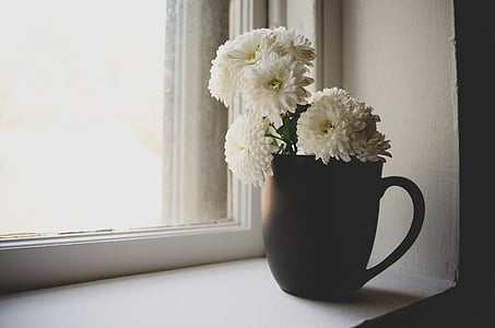Krásné, Bloom, květ, světlé, keramický pohár, detail, dekorace