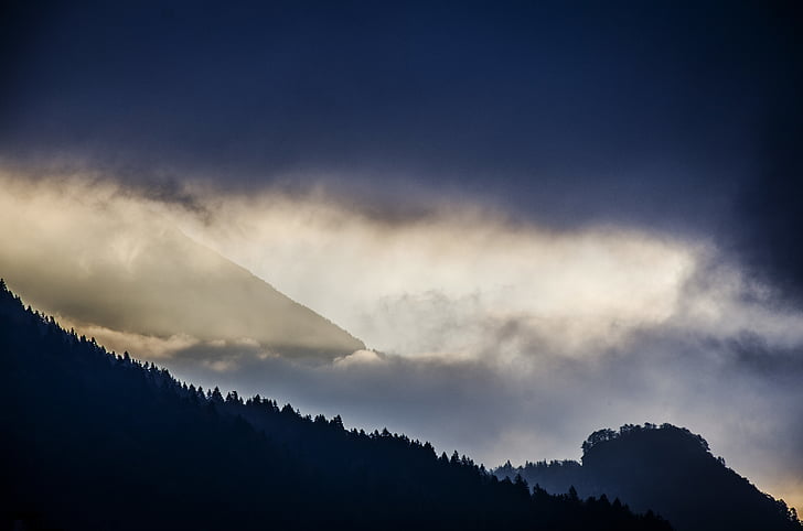 Dawn, Dämmerung, 'Nabend, Nebel, Wald, Landschaft, Licht