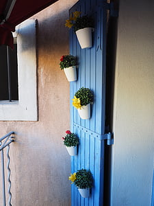 deur, bloempotten, sieraad, houten deur, plant, bloemen, decor