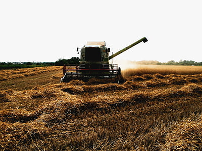 combine, harvester, harvesting, wheat, crop, farm, rural