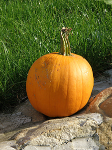 labu, Orange, musim gugur, Halloween, warna oranye, sayur, Oktober