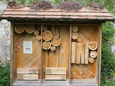 insect hotel, insect, insect house, hibernation help, nature conservation, bee hotel, insect protection measures