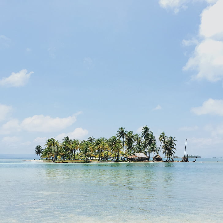 sala, kokoso, medžiai, namas, viduryje, vandenyno, palmės