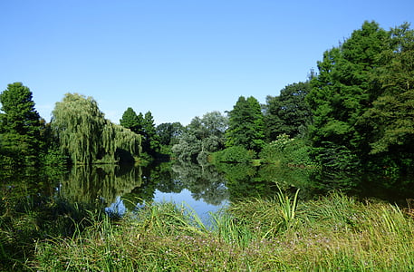 lake, pond, mirroring, sky, water, nature, bank