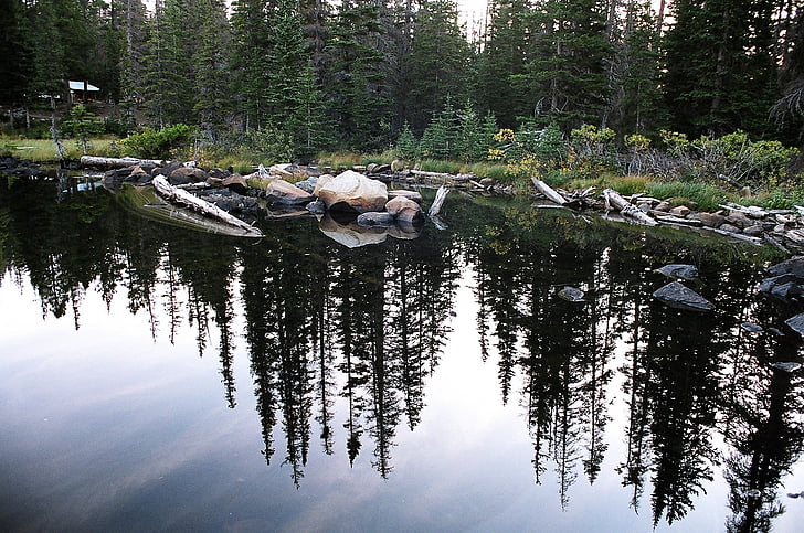 reflection, landscape, lake, larch, trees, rocks, shore