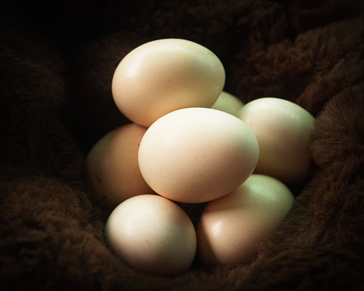 egg, fresh, cholesterol, farm, kitchen, brown, food
