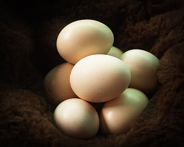 달걀, 신선한, 콜레스테롤, 농장, 주방, 갈색, 음식