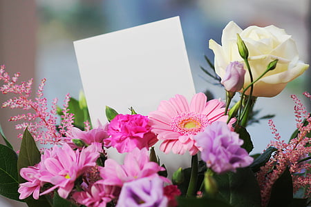 facebook, message, blank, flowers, bouquet, pink