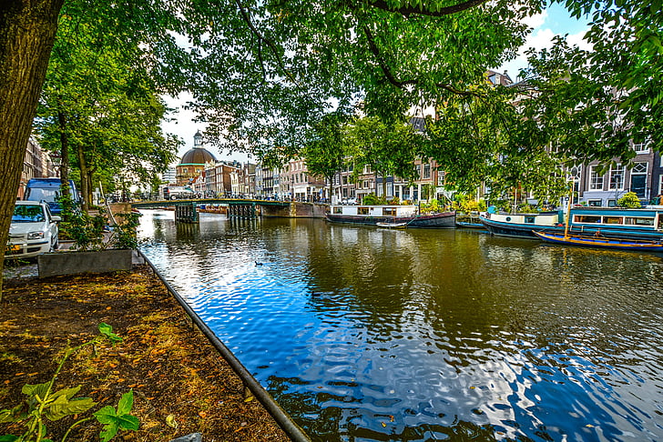 Amsterdam, puente, canal, cortina, árbol, agua, reflexión
