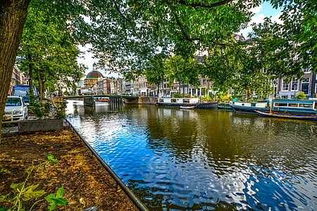 Amsterdam, Bridge, Canal, skugga, träd, vatten, reflektion