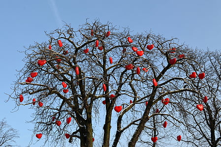 heart, love, valentine's day, together, tree, romance, luck