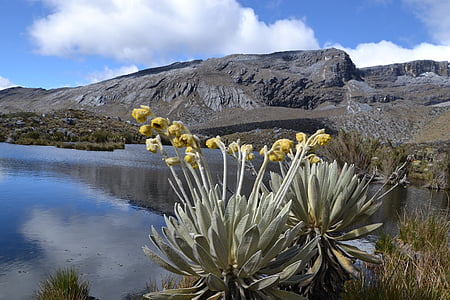 Kolumbie, Národní park, elcocuy, Treking, pěší turistika, Laguna, hory