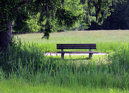 bench, nature, bank, seat, rest, meadow, grass