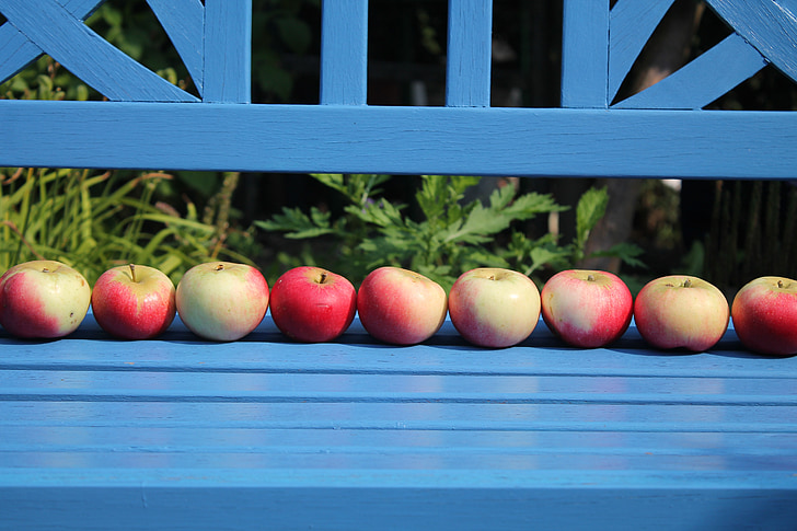 frutas, Apple, Frisch, saudável, jardim, maçã vermelha, Verão