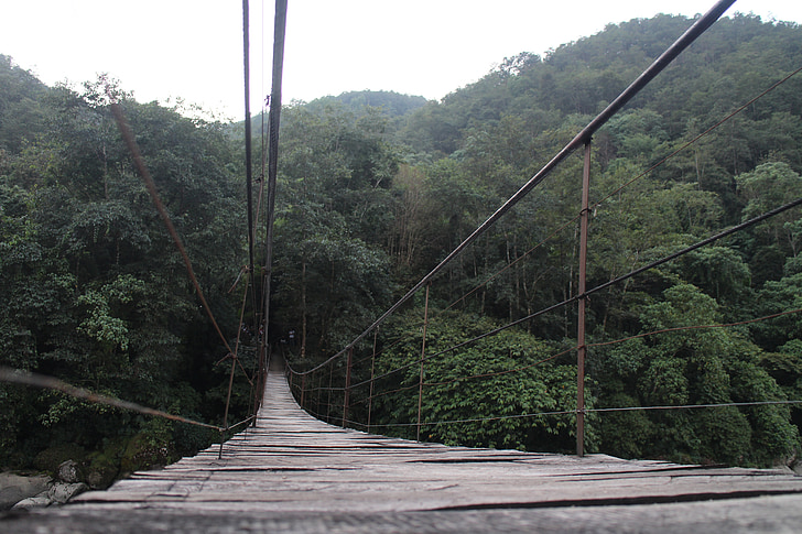 wooden legs, landscape, forest, river, hanging bridge, wooden bridge