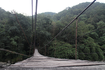 pernas de pau, paisagem, floresta, Rio, ponte suspensa, ponte de madeira