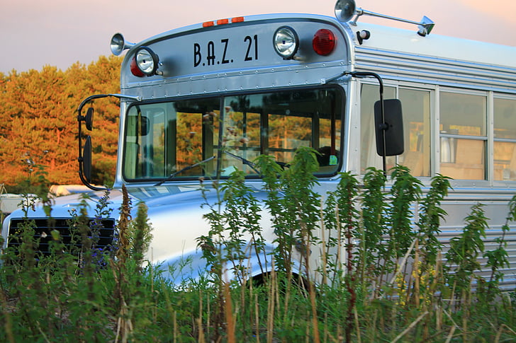 autobús, autobús escolar, vehicle, transport, vehicle de terra, a l'exterior
