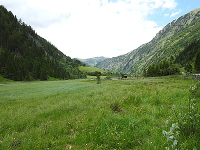 austria, mountains, meadow, forest, nature, landscape, salzburg