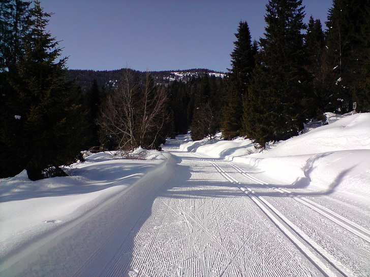 lyžiarske trate, bežecké lyžovanie, cross-country ski chodník, mrazivé, stopy, sneh, zimné športy