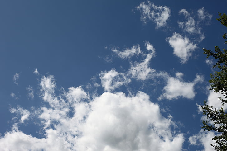 sky, clouds, tree branches, nature, summer