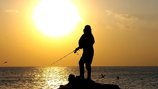 posta de sol, pescador, Llac, natura, capvespre, Lago Balatón, l'estiu