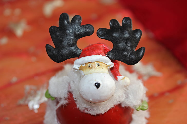 jul, dekoration, figur, Christmas moose, Nicholas, rød
