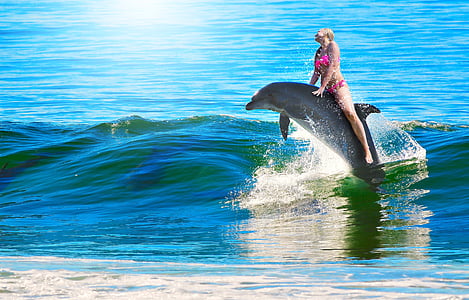 жена, делфините, Ride, плуване, жената езда делфините, вълна, скок