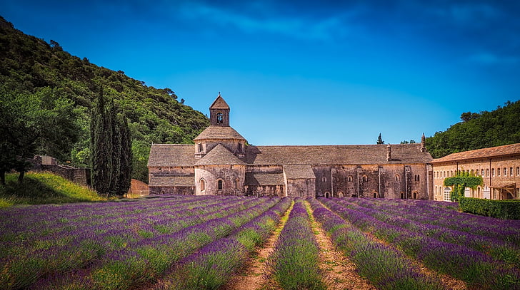 Monasterio de, lavanda, campo de levanduľové, levanduľové campos, flores, Francia, Abbaye de senanque