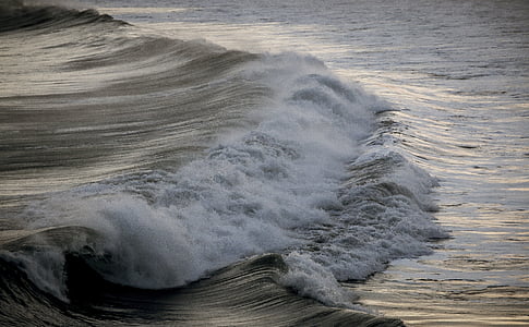 onda, mar, água, praia, espuma, natureza, Costa