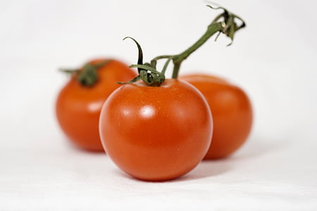 Tomaten, Busch-Tomaten, am Rebstock, Nachtschattengewächs, Garten, Gemüse, Essen