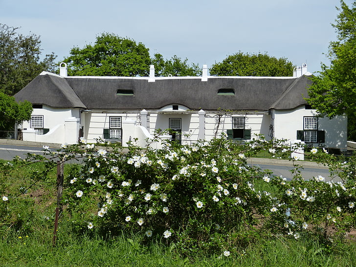 south africa, garden route, stellenbosch, historically, home, building, reed